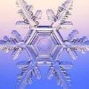 飘雪*北国海报