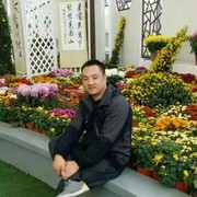 贫僧法号【蛋蛋】海报