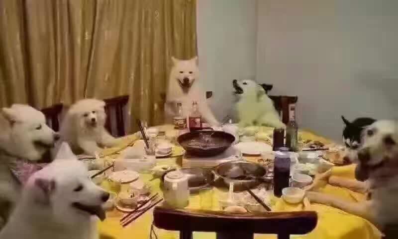 sugar甜心主播照片