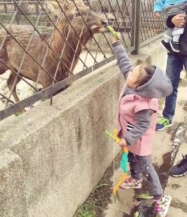 cailu81主播照片