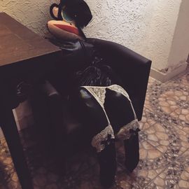 无毛豚鼠和它的朋友们主播照片