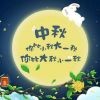 张振杰x