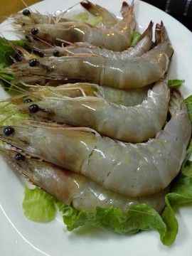 ╬聆聽永恆☆主播照片