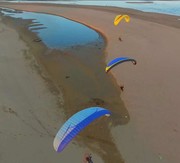 蒲公英6bc的头像