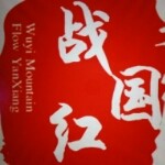 魅力战国红