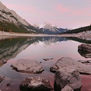 逍遥少爷l海报