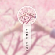 咸吃萝卜淡操心12