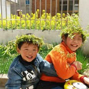 靓家的人