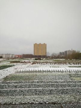 ∠※相惜主播照片