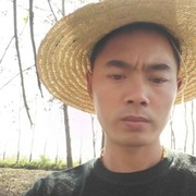 杨海波b