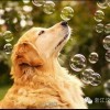 心灵角落*海报
