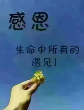 魅丽晴儿主播照片