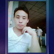 趴在猪上的小蚂蚁7