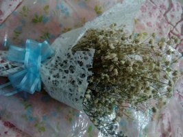 爱吃鸡排的~萌宝~！主播照片