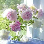 小陈8m主播照片