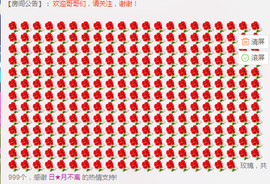 缘分主播主播照片