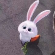 木卯p