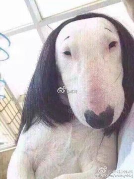 小小凡🎤（8点播）主播照片