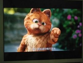 ╭妮丶冷乐观主播照片