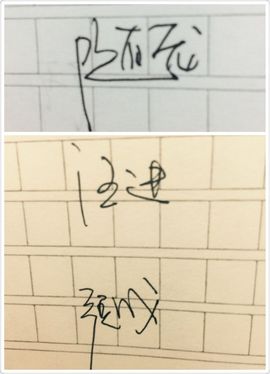 ✨丗宠💘宠虫虫💤主播照片