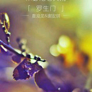 湘湘你最棒刘金强主播照片