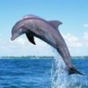 静静玻璃窗海报