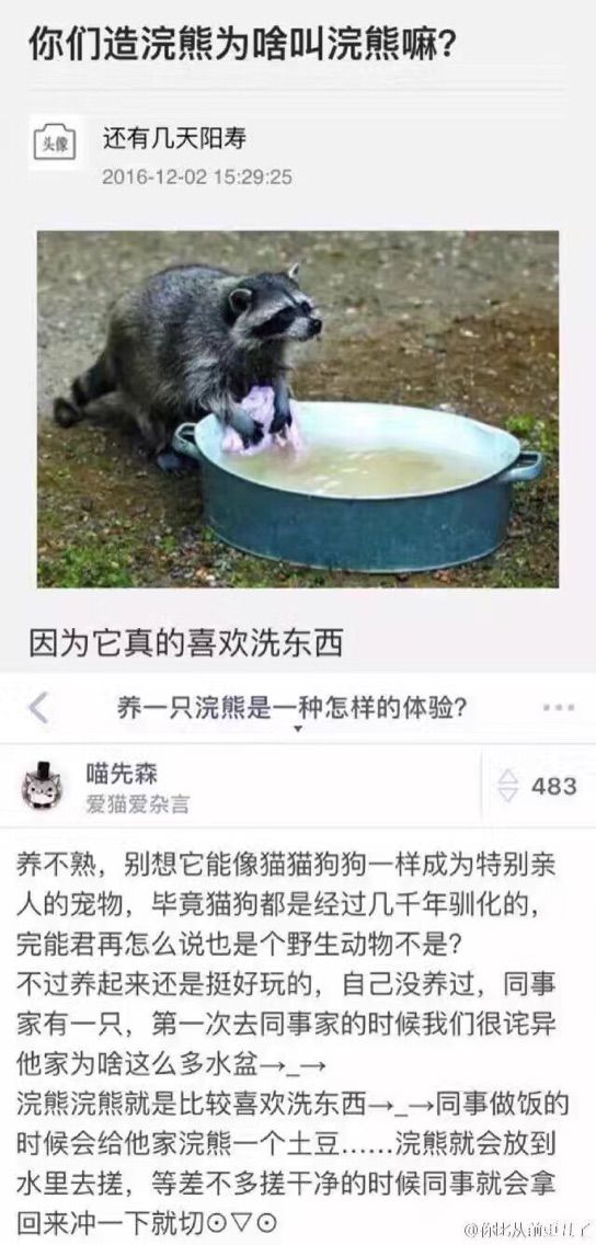 爱睡觉的长颈鹿是我吗的主播照片