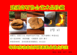 黄蜡石-黄龙玉-逍遥主播照片