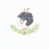 微甜暖少年🍃