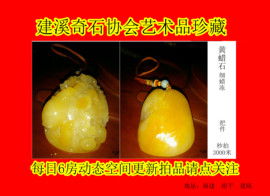 黄蜡石-黄龙玉-逍遥主播照片