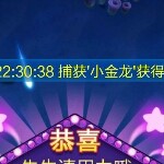 白眉大胡子
