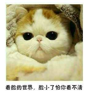 ❤诗萌雪儿❉主播照片