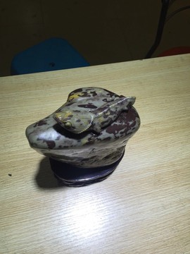 黄蜡石-黄龙玉-逍遥主播照片