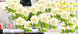 じ╯仙❥儿╰主播照片