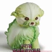 一笑而过3nq