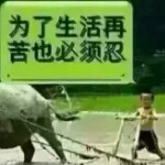 事事难熬的头像