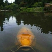 辉煌wr海报