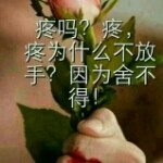挚清纯