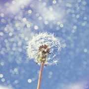 惯惯0海报