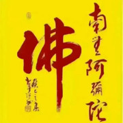 初心不變NSM的頭像
