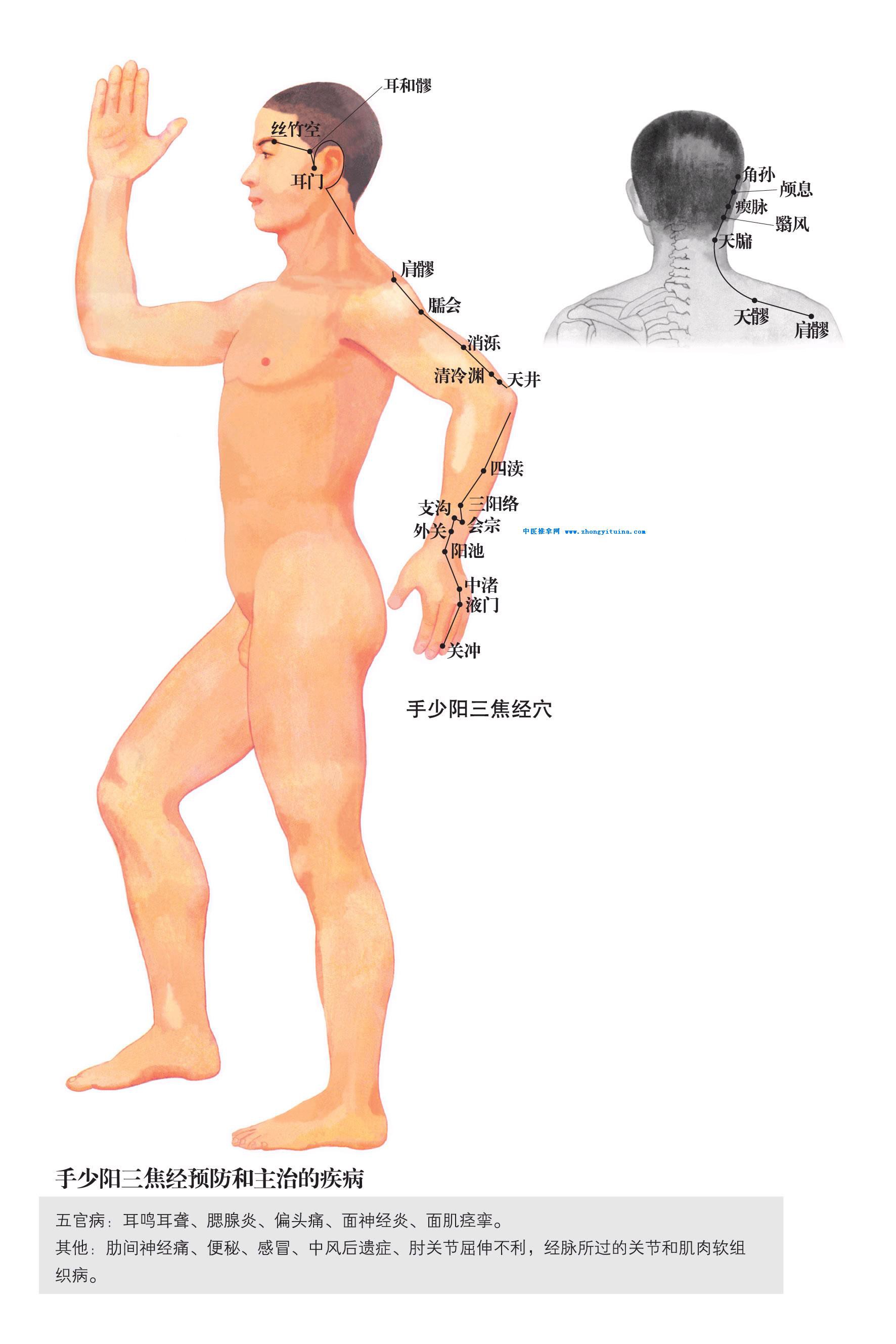 和合时尚的主播照片