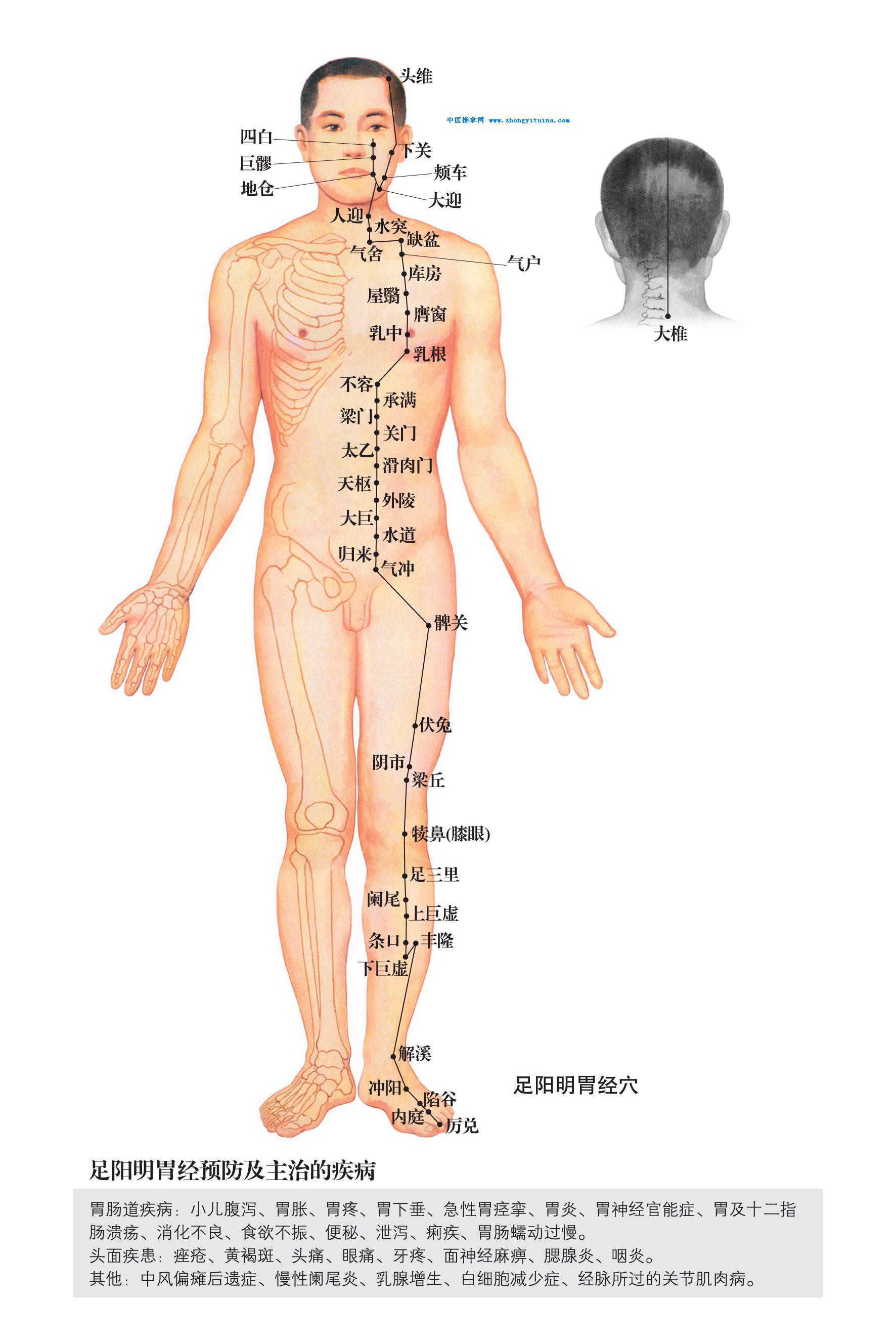 和合时尚的主播照片