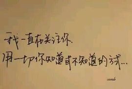 海鸽晚上晚会播主播照片