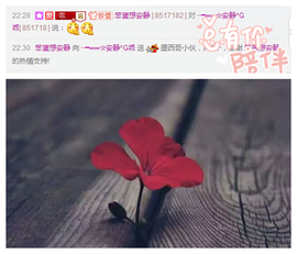 乖“我们的回忆，😘主播照片