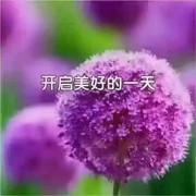 昵称违规，请重新修改