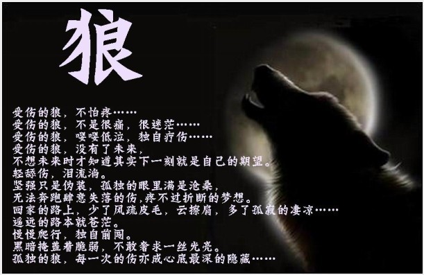 人民★名义的主播照片
