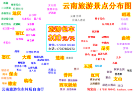云南旅游包车主播照片