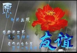 @白狐主播照片