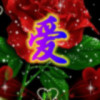 舞动人生gjv