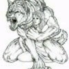 緣起緣滅之孤狼海报